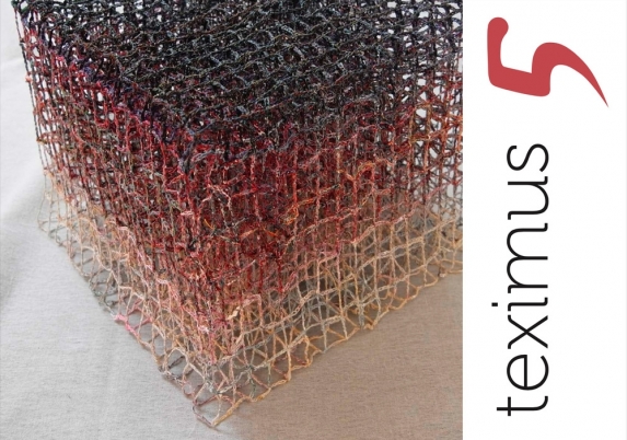 Flyer teximus 5 Flyer teximus 5